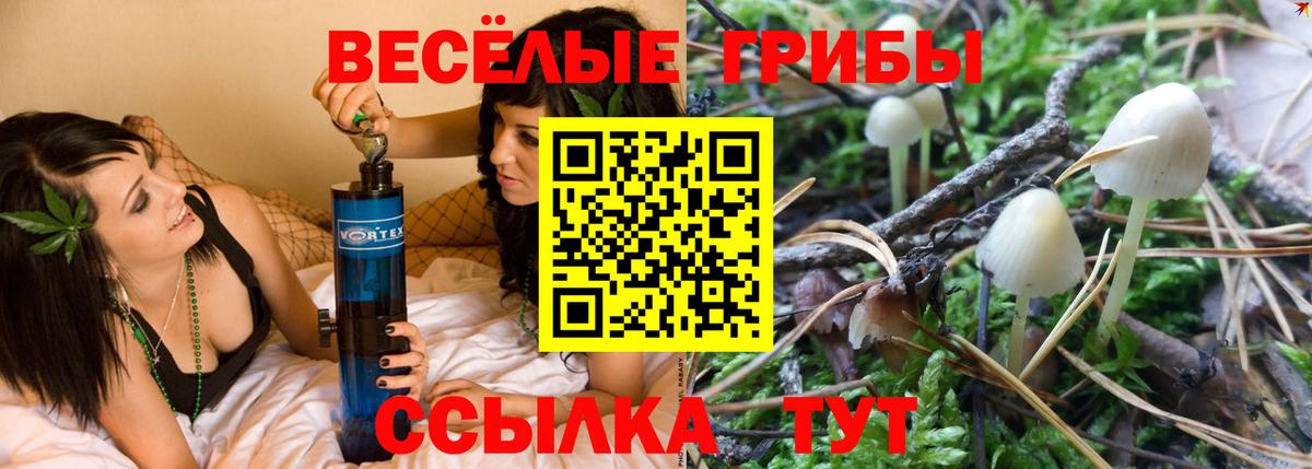Галлюциногенные грибы GOLDEN TEACHER  Вход с VPN  Тельмана 